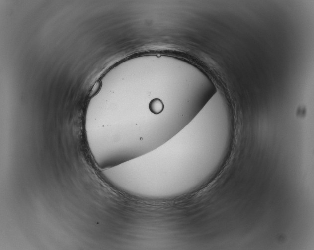 X0000115231361200911201548