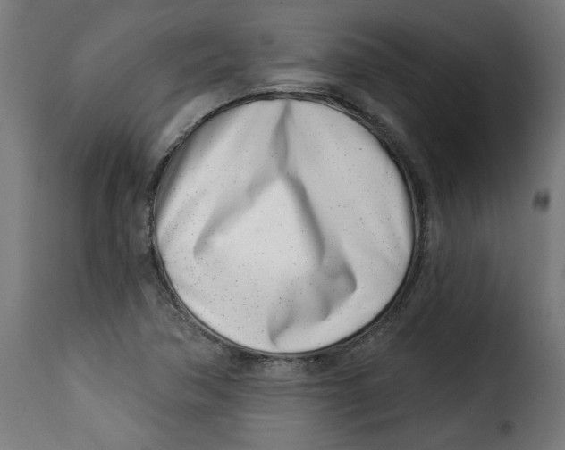 X0000115231362200911201548