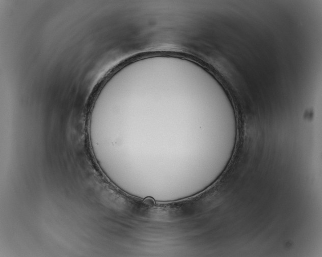 X0000115231364200911201547