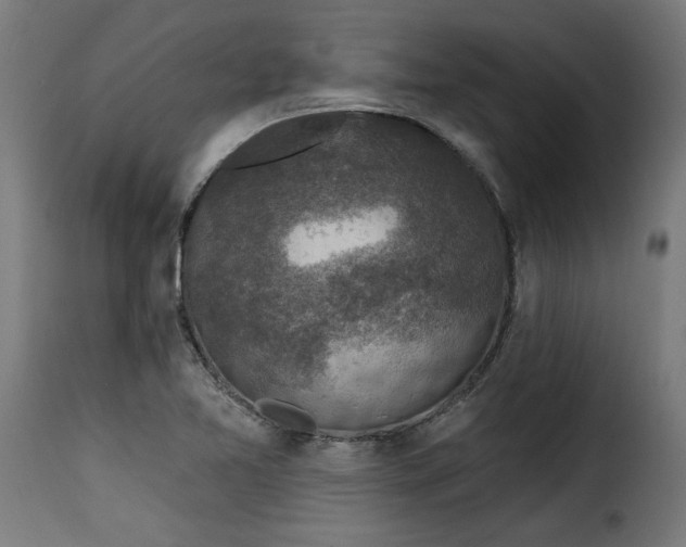 X0000115231365200911201547