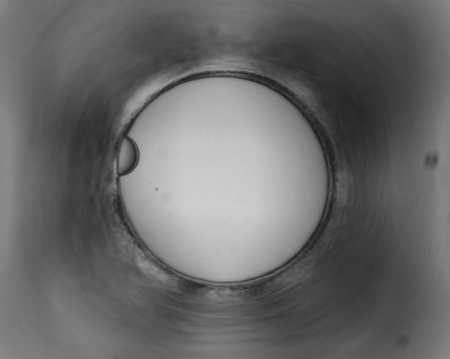 X0000115231366200911201547