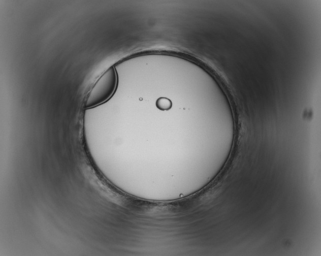 X0000115231367200911201547