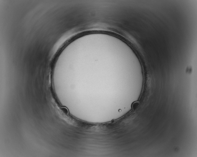 X0000115231368200911201547