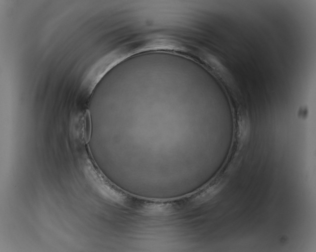 X0000115231369200911201547