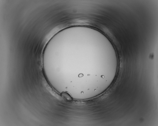 X0000115231370200911201547