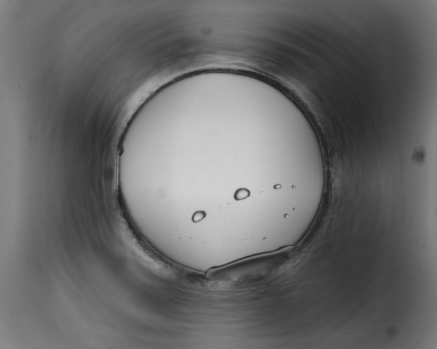 X0000115231371200911201547