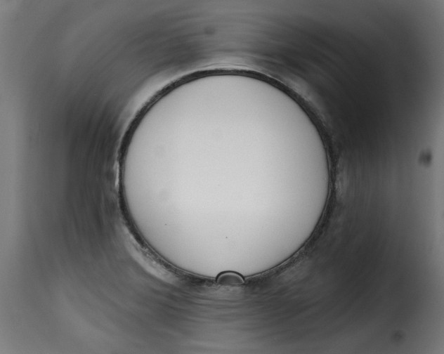 X0000115231372200911201547