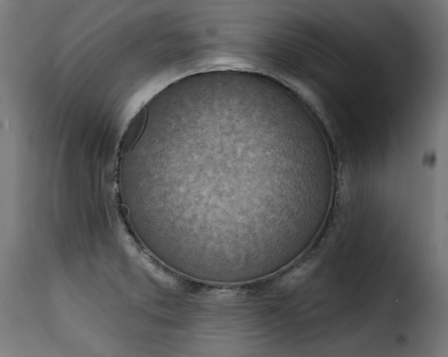 X0000115231373200911201547