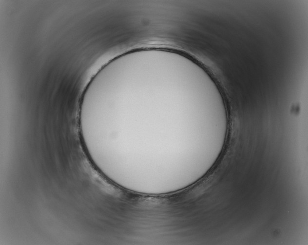 X0000115231374200911201547