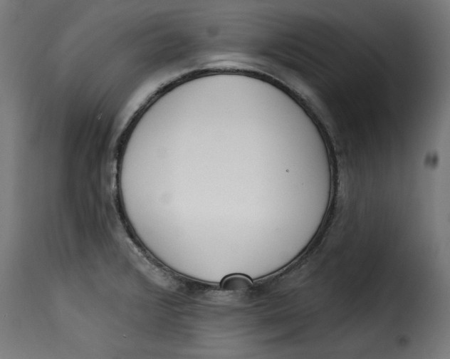 X0000115231376200911201547