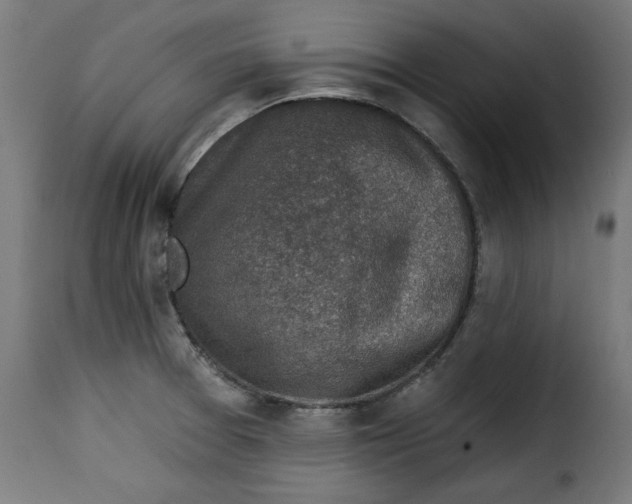 X0000115231377200911201547