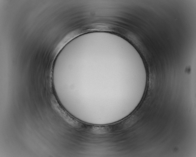 X0000115231378200911201547