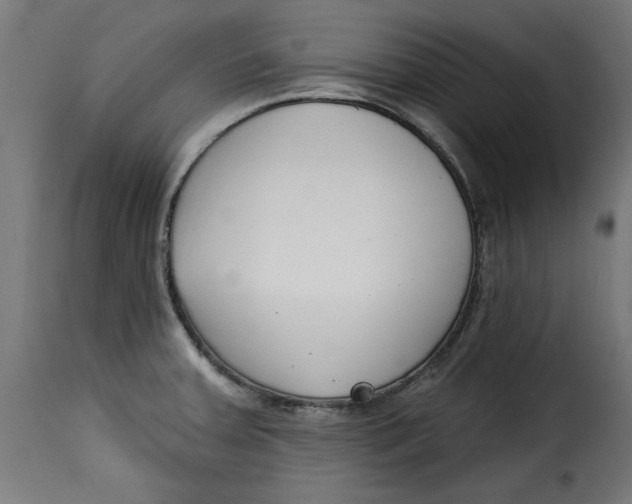 X0000115231379200911201547