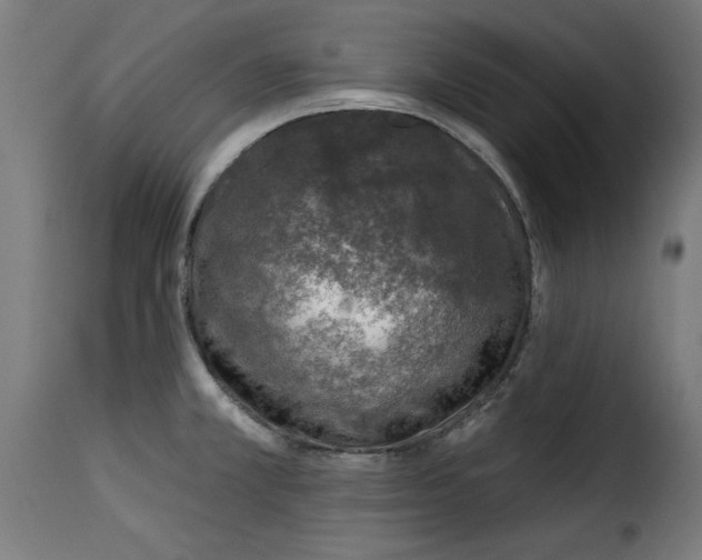 X0000115231381200911201547