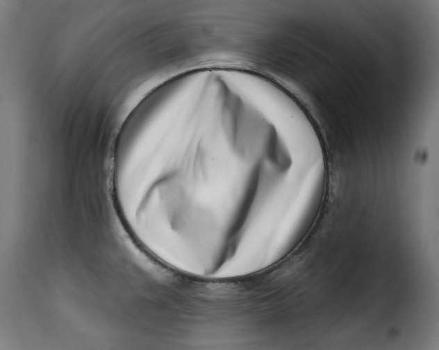 X0000115231383200911201547