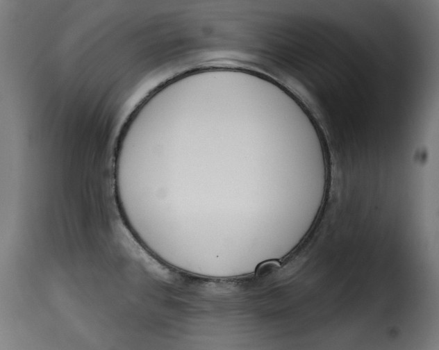 X0000115231384200911201547