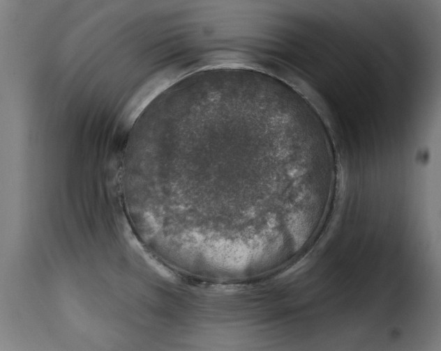 X0000115231385200911201547