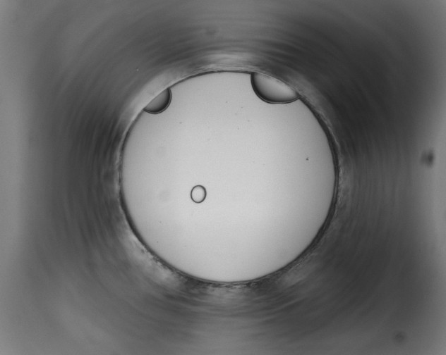 X0000115231386200911201547