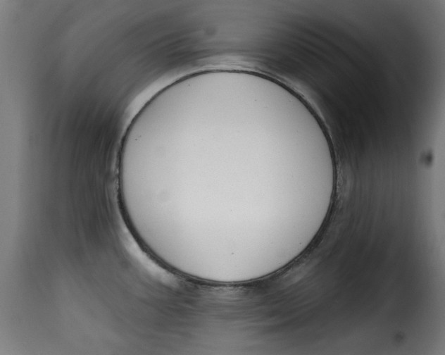 X0000115231387200911201547