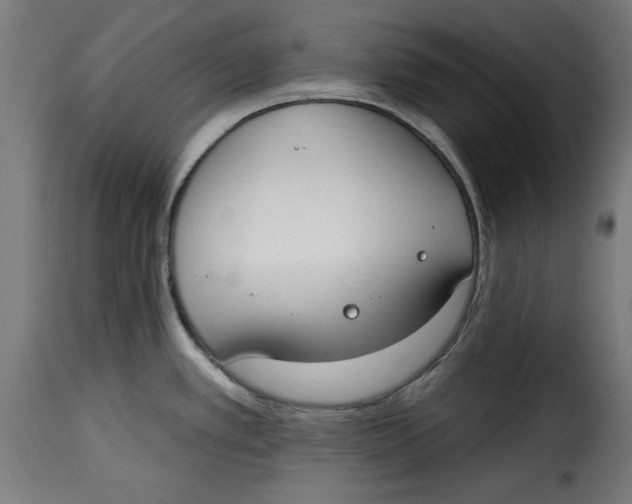 X0000115231389200911201547