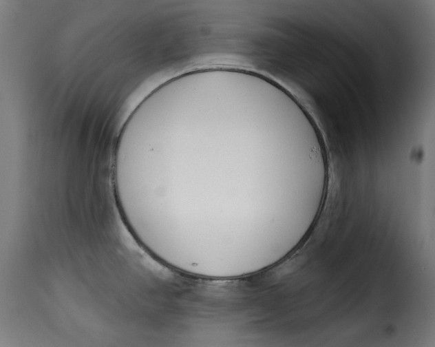 X0000115231390200911201547