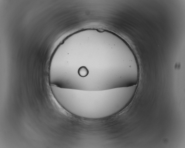 X0000115231392200911201547