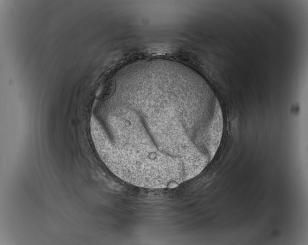 X0000115231393200911201546