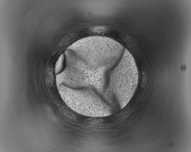 X0000115231394200911201546