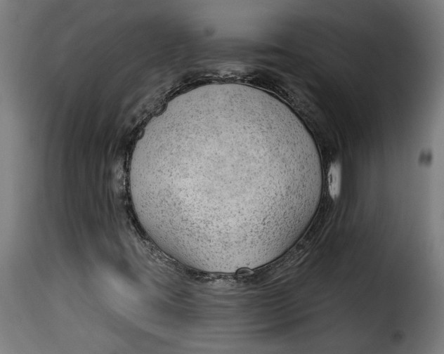 X0000115231395200911201546