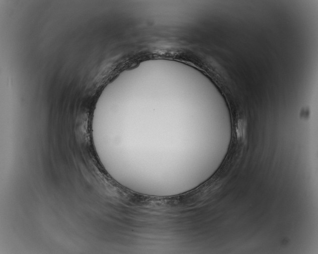 X0000115231396200911201546