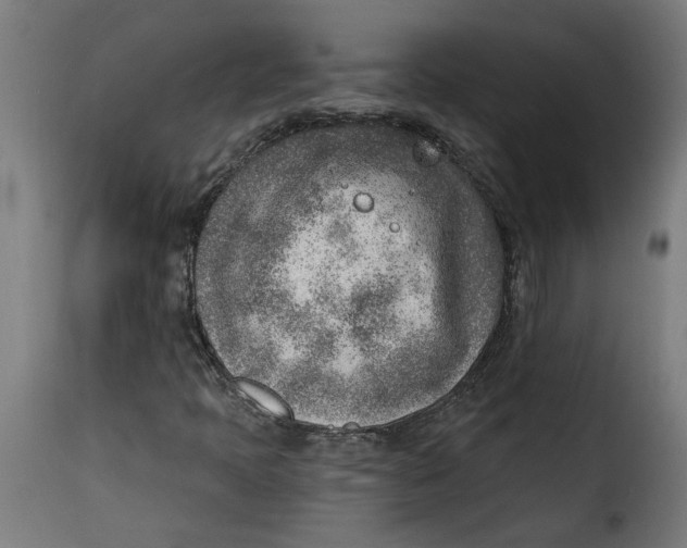 X0000115231397200911201547