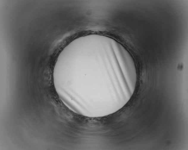 X0000115231398200911201547