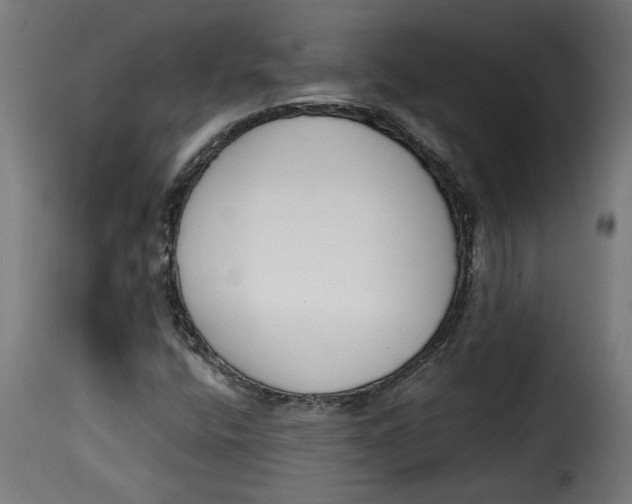 X0000115231400200911201547