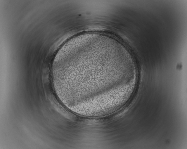 X0000115231401200911201547