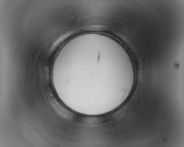 X0000115231402200911201547