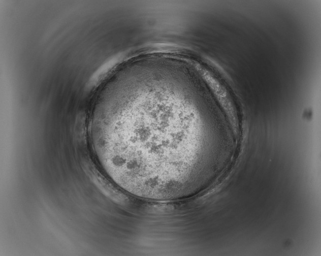 X0000115231403200911201547