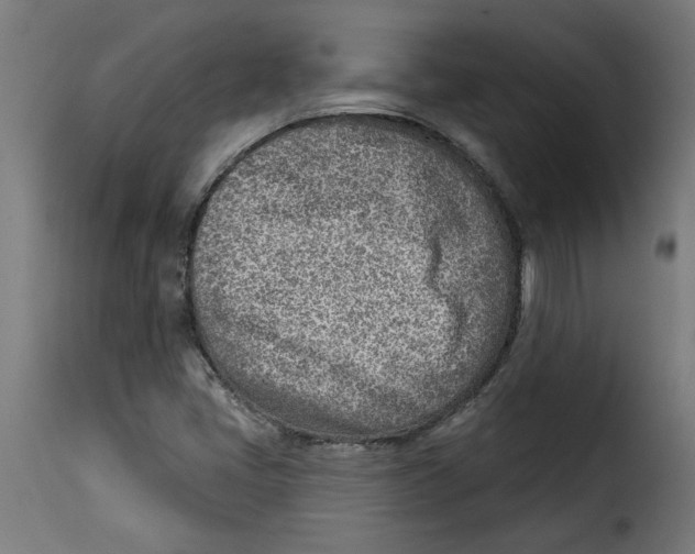 X0000115231405200911201547