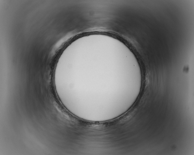 X0000115231406200911201547