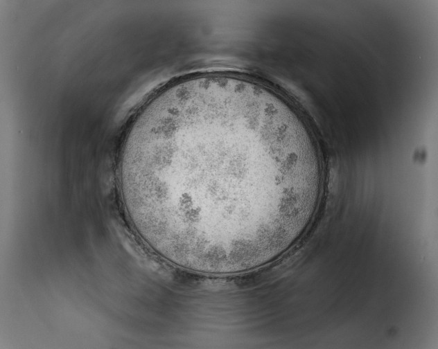 X0000115231407200911201547