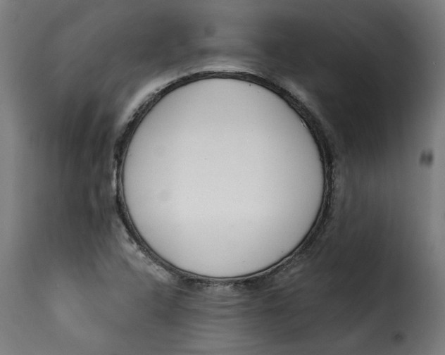 X0000115231408200911201547