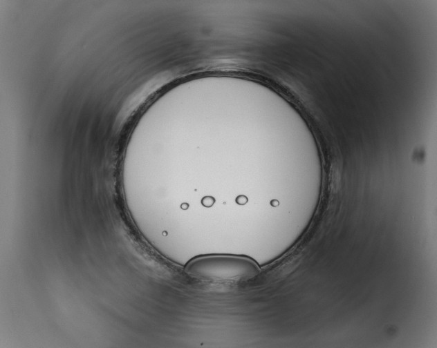 X0000115231410200911201547