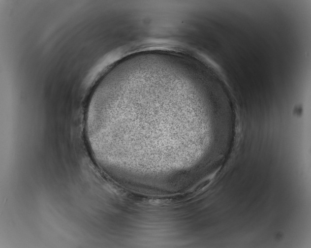 X0000115231411200911201547