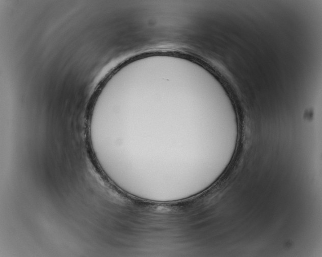 X0000115231412200911201547