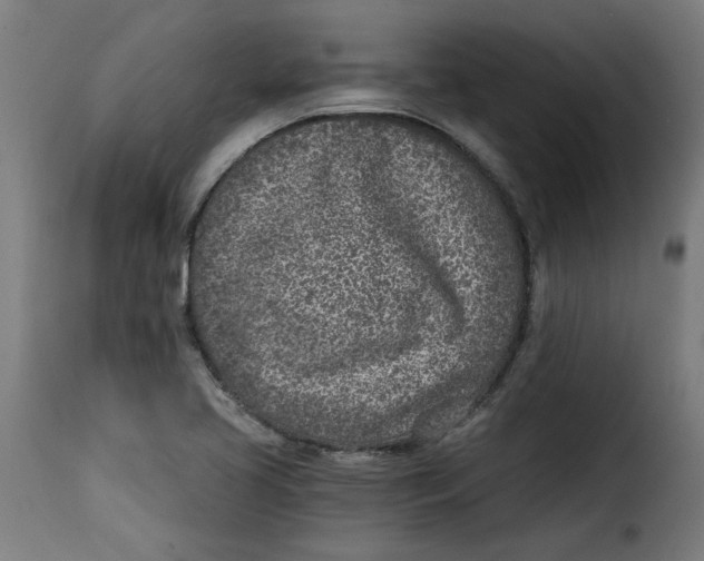 X0000115231413200911201547