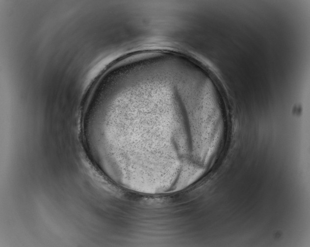 X0000115231415200911201547