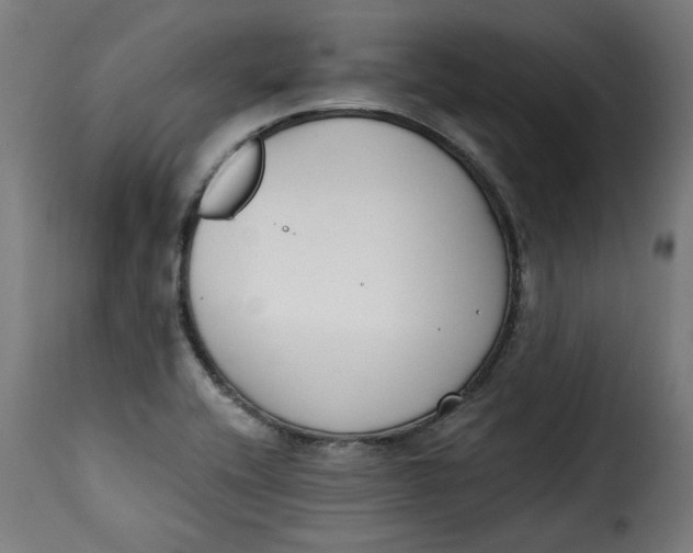 X0000115231416200911201547