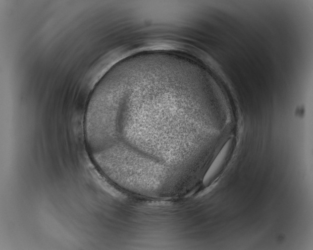 X0000115231417200911201547