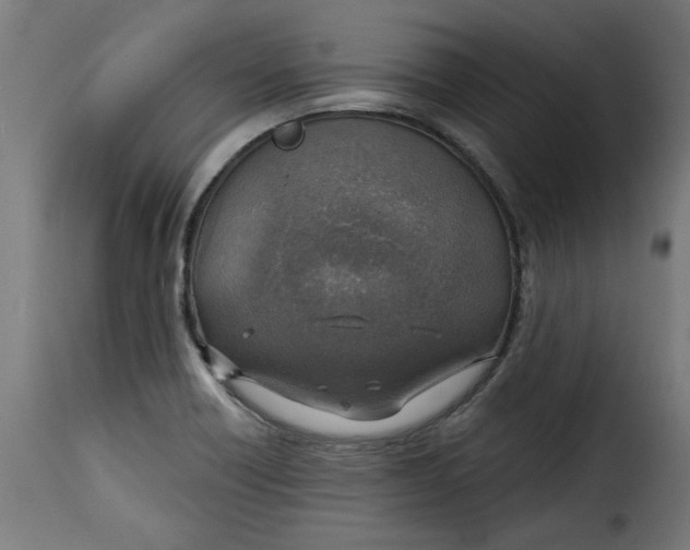 X0000115231418200911201547