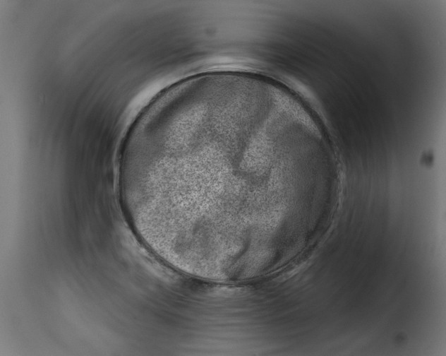 X0000115231419200911201547