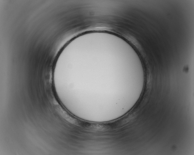 X0000115231420200911201547